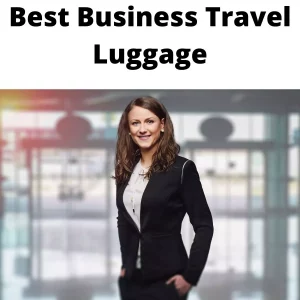 business travel luggage reviews